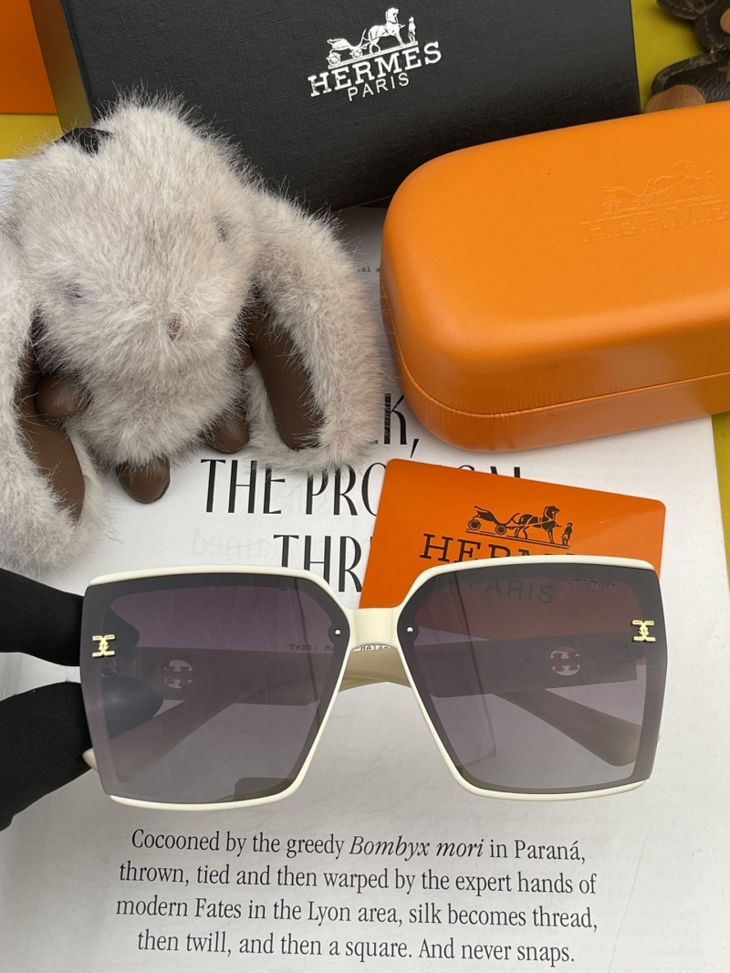 Hermes Sunglasses